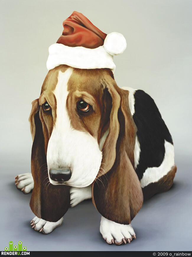 o_rainbow. Basset