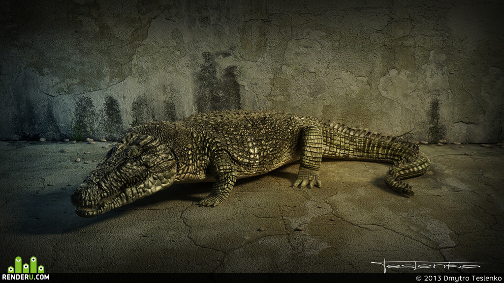 Dmytro Teslenko. Crokodile