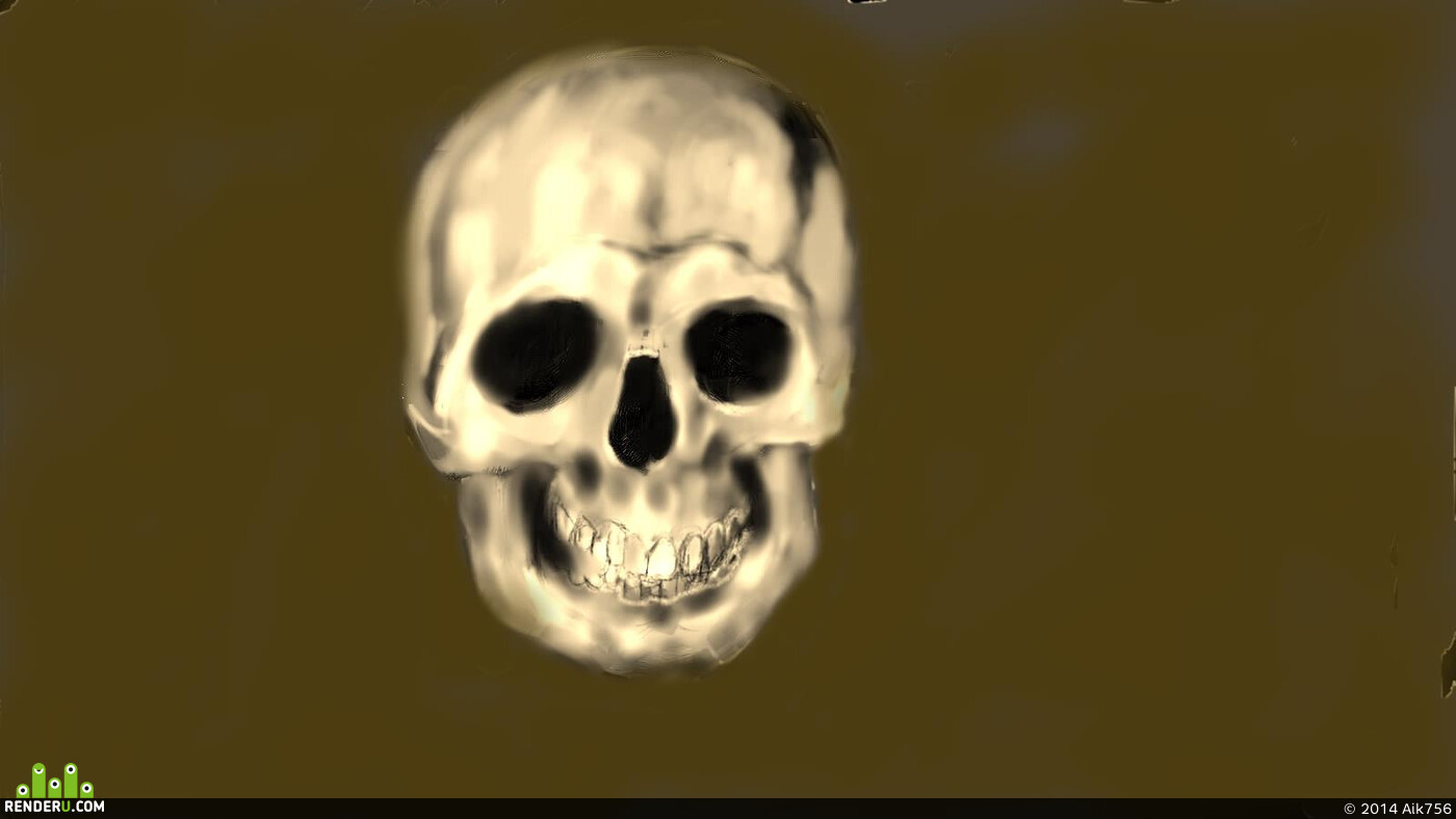 Aik756. skull