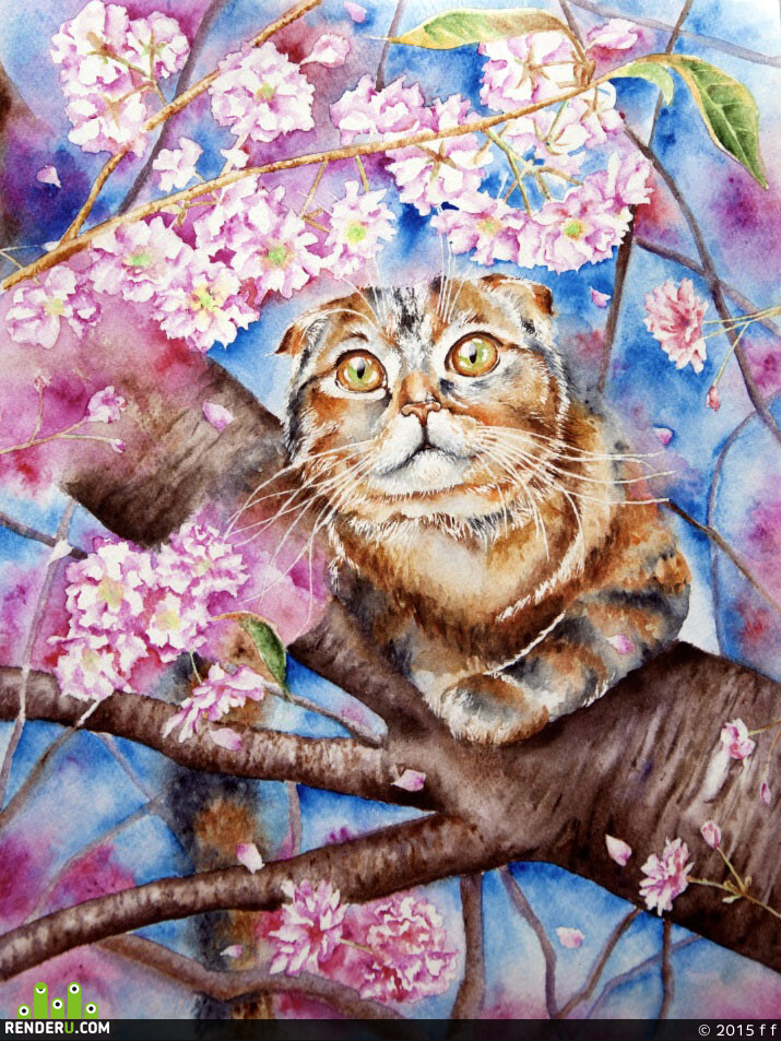 sdfsfdsfsfs. Cat