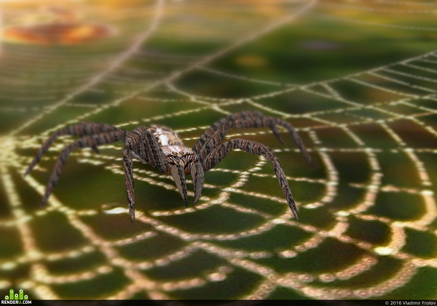 Vladimir Frolov (VovarT). spider