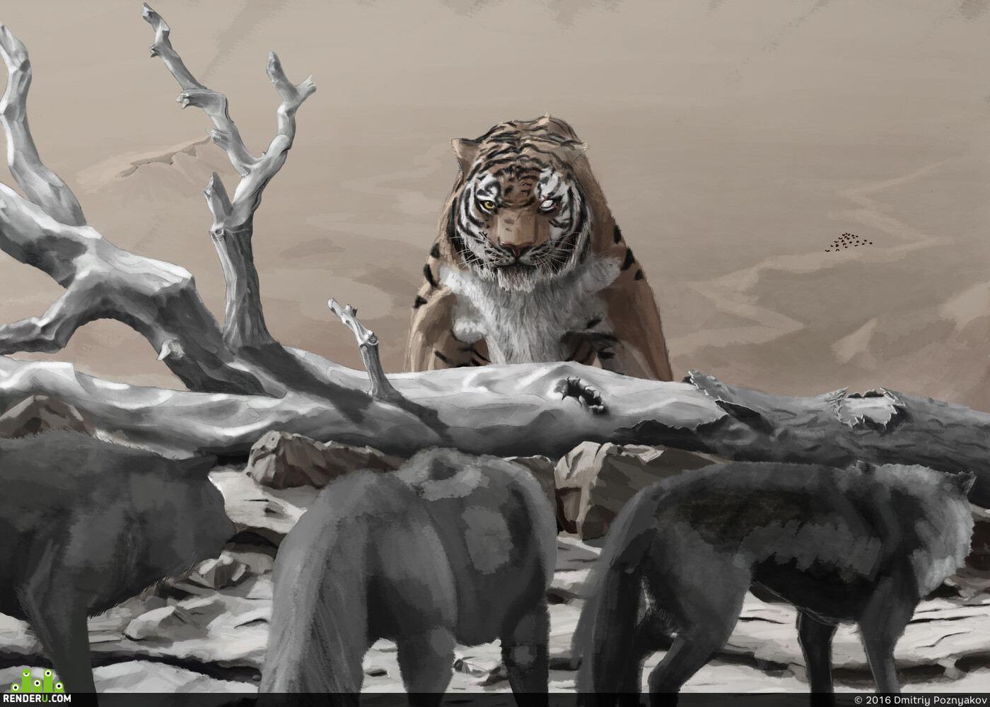HaaRHusS. Shere-khan