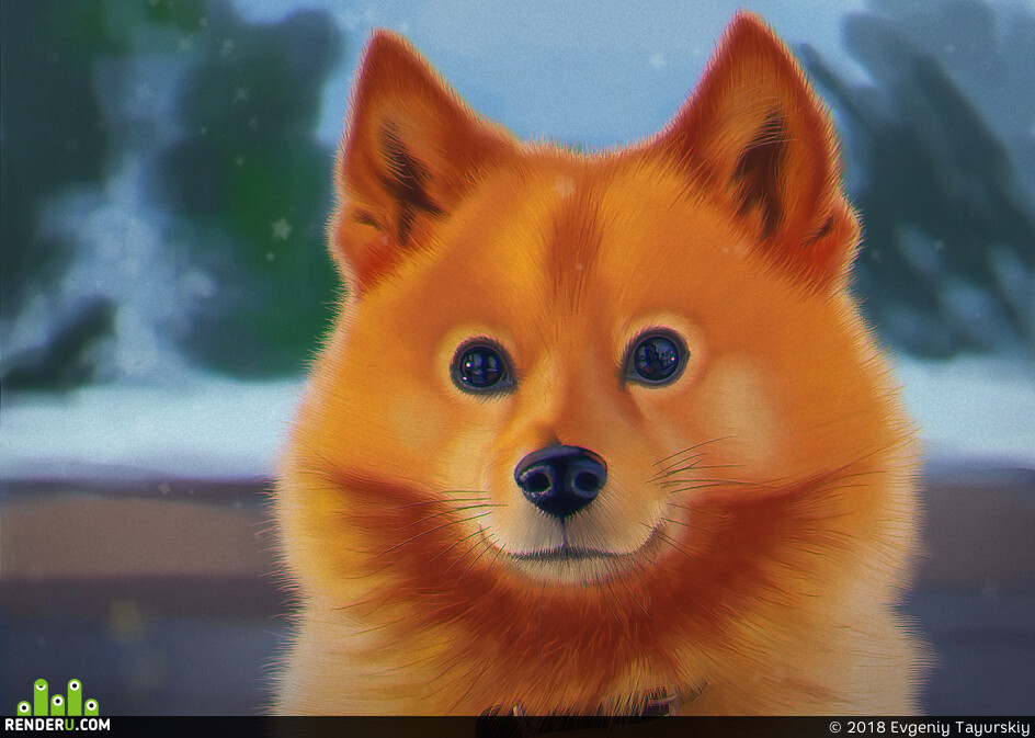 Tay2323. Husky