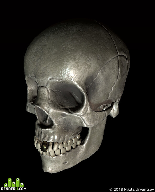 Nikita Urvantsev. Skull for Unity