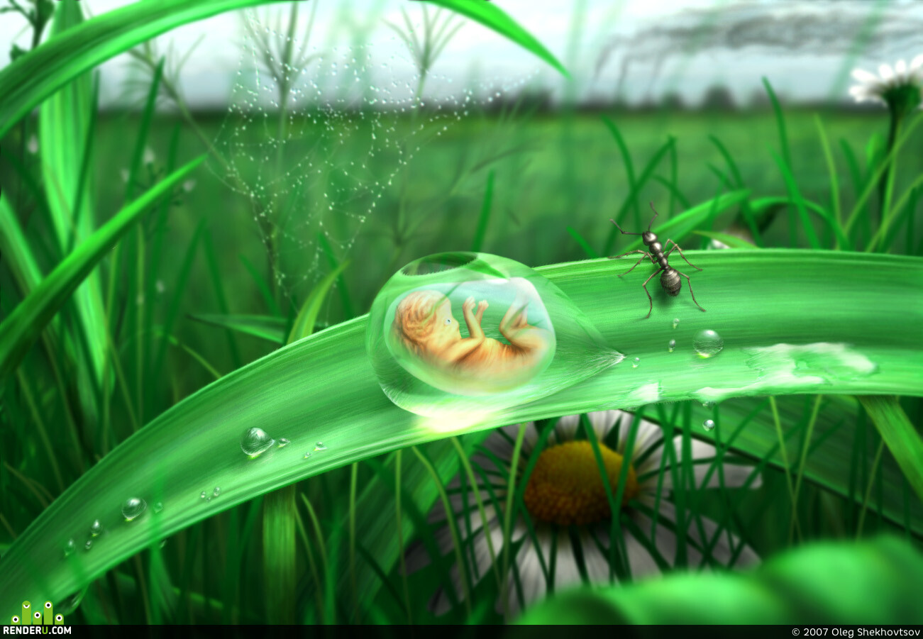 leshiy_tvr. Artwork of contest
