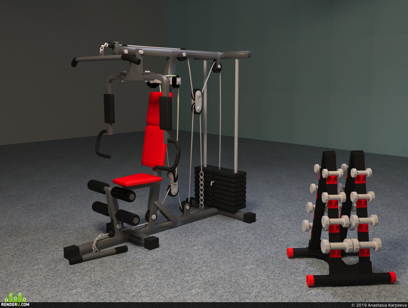 Anastasia Karpeeva. Equipment for thq gym