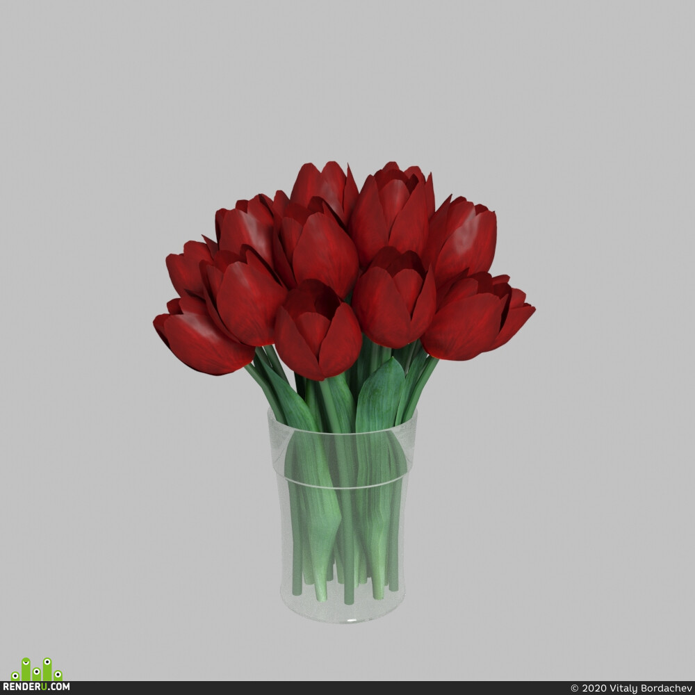 Vitaly Bordachev. Tulips