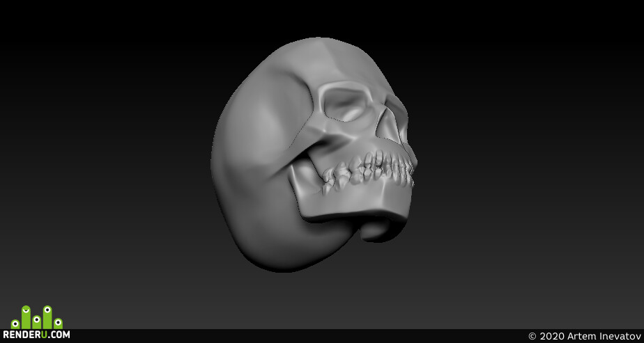 Artem Inevatov. skull