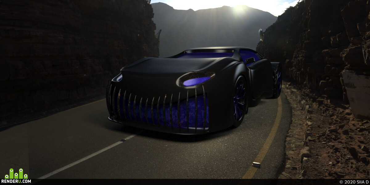 SIIA D. Car