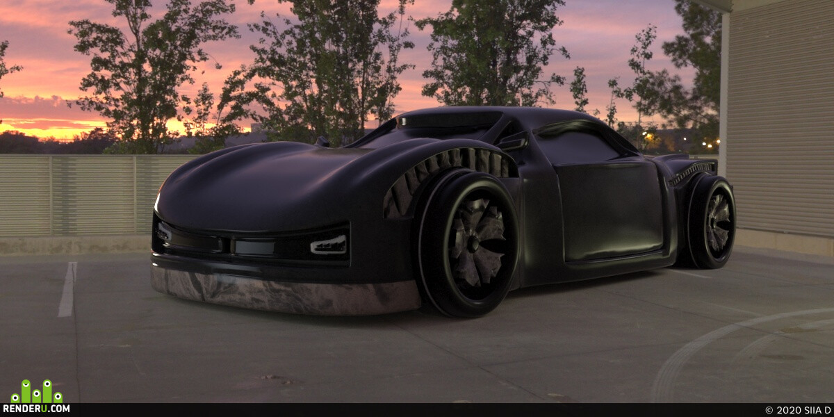 SIIA D. CAR