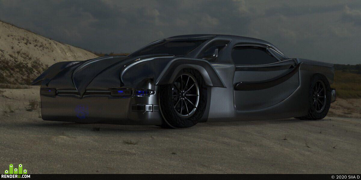 SIIA D. Car