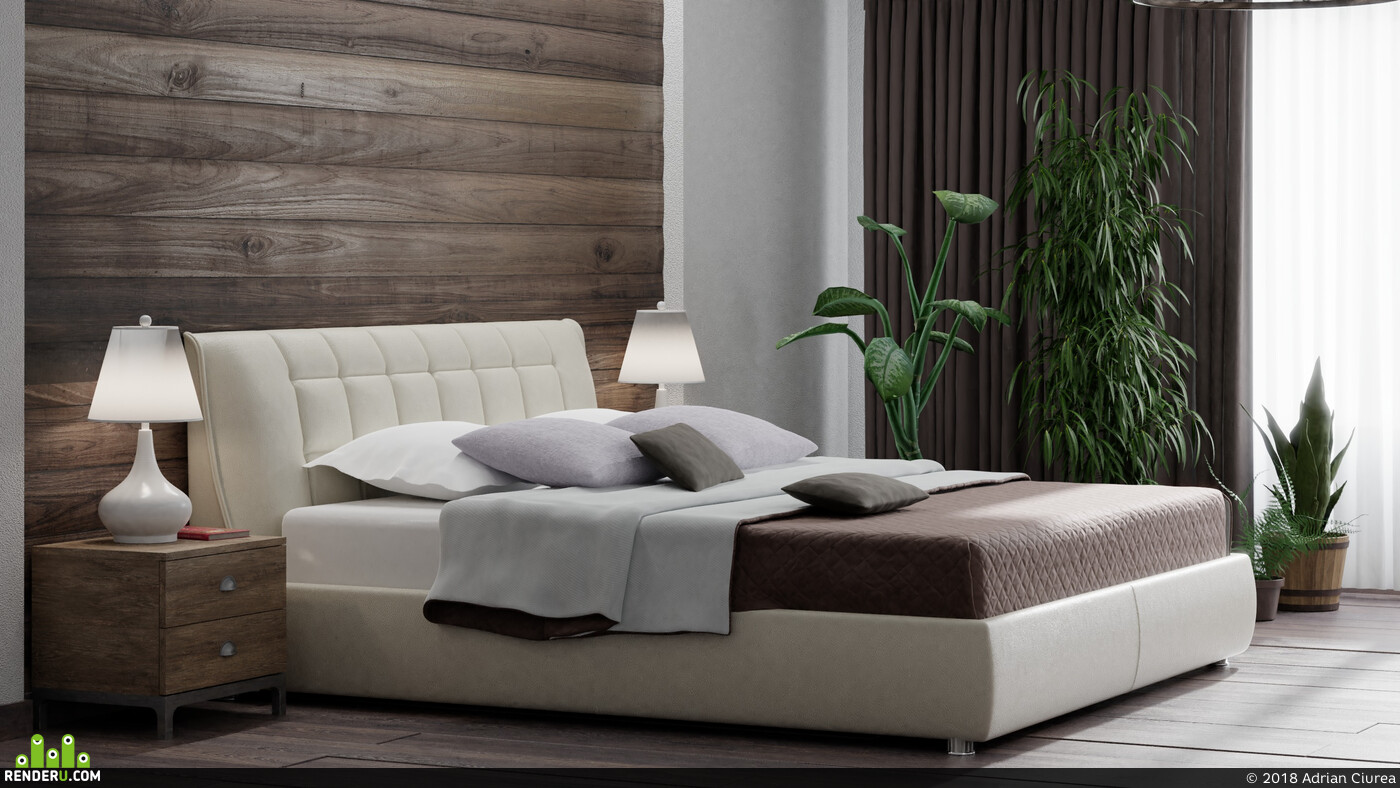 Adrian Ciurea. Book near bedroom