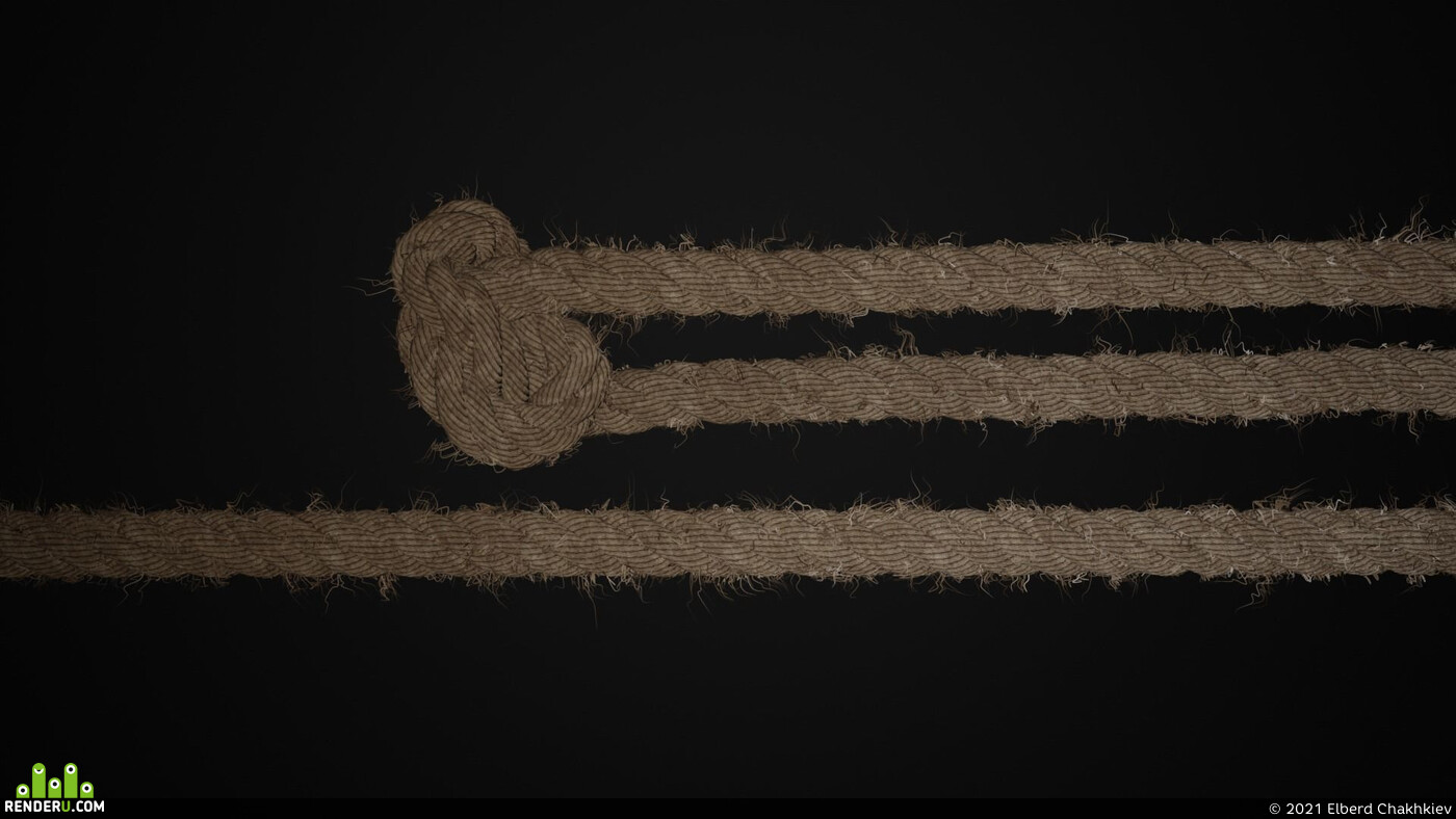 Elberd Chakhkiev. Rope