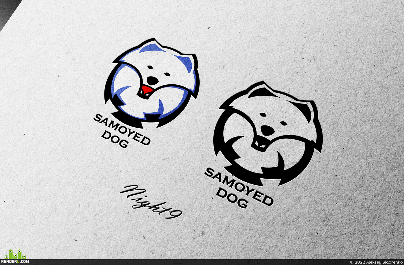 Aleksey Sidorenko (AS^^). Samoyed dog