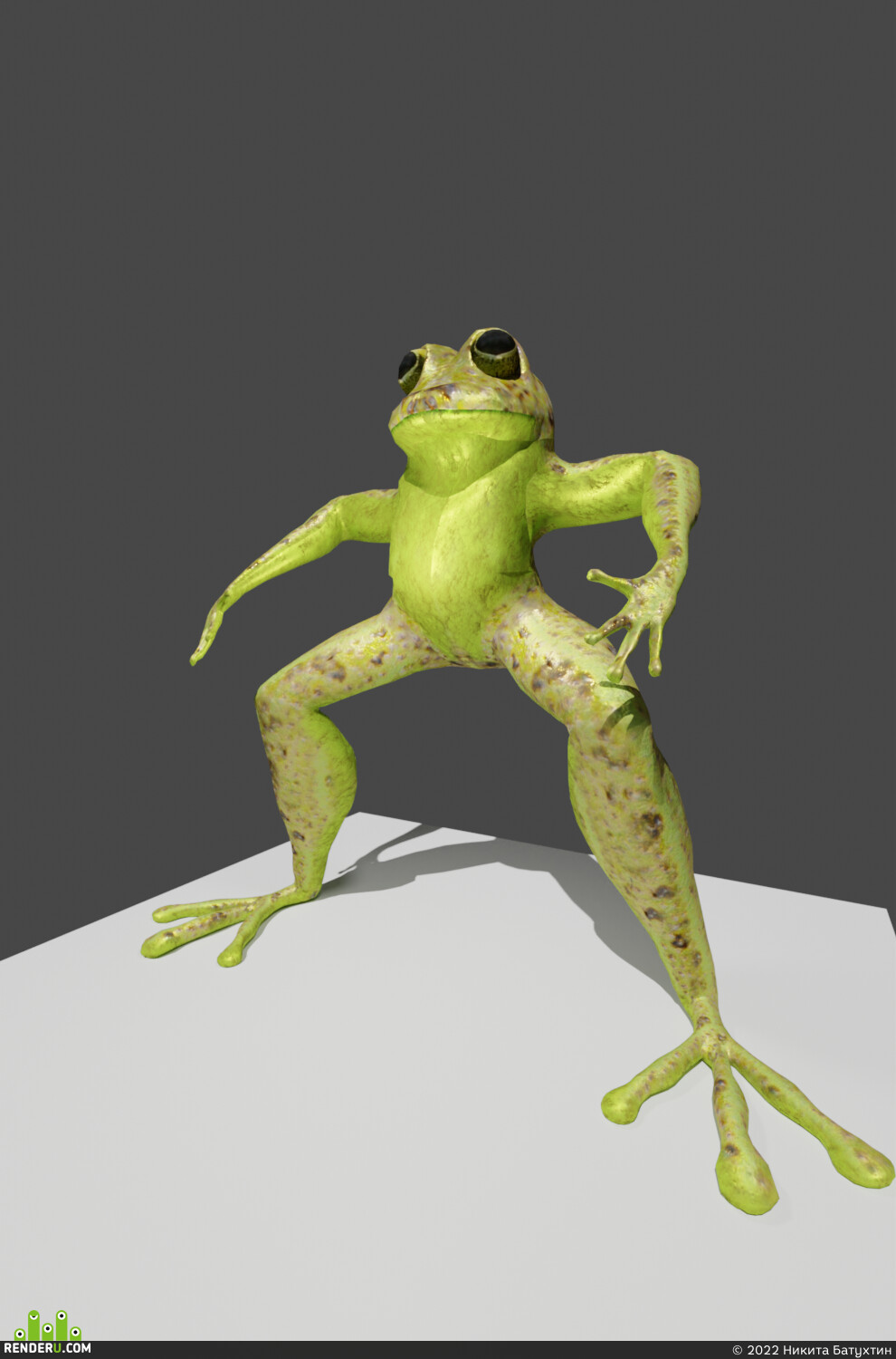Никита Батухтин. Frog