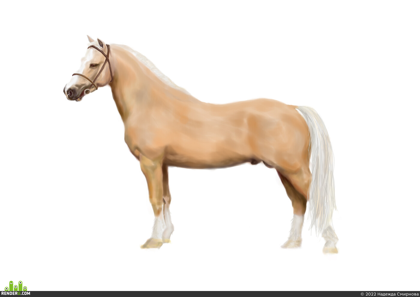Надежда Смирнова. Horse