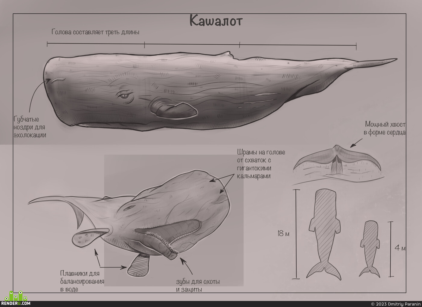 Dmitriy Paranin. Whale-sperm whale