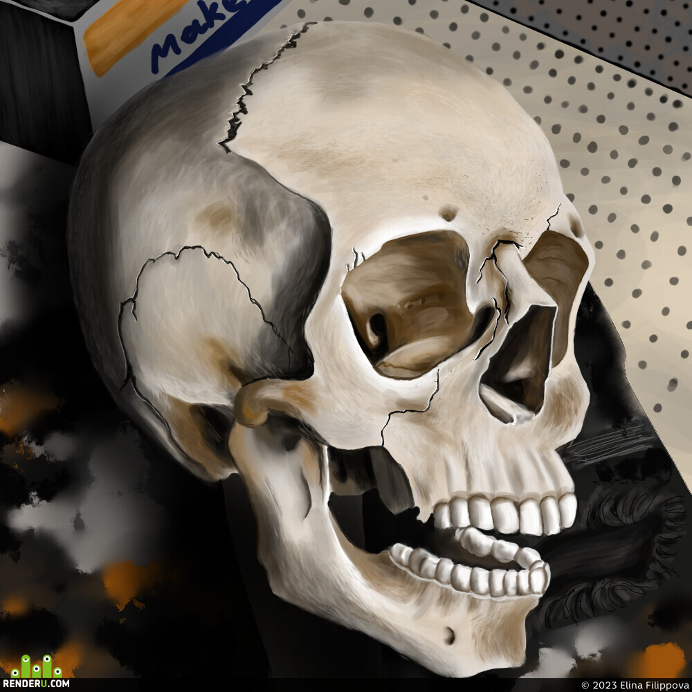 Elina Filippova. human skull