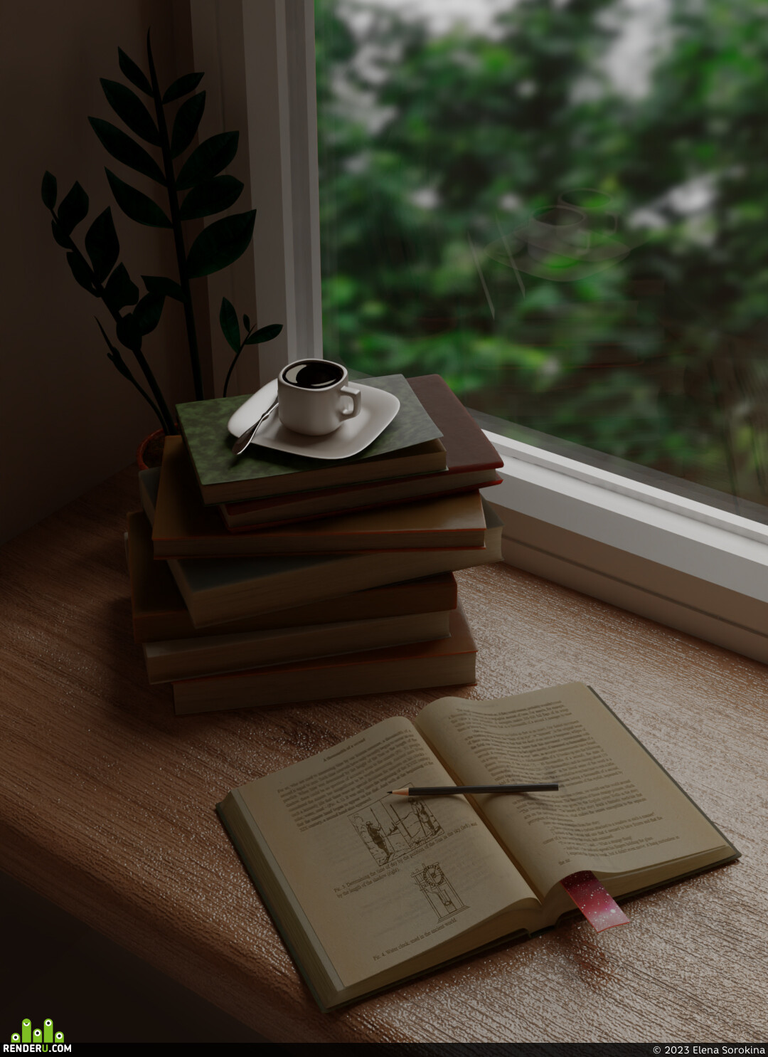 Elena Sorokina. Study time