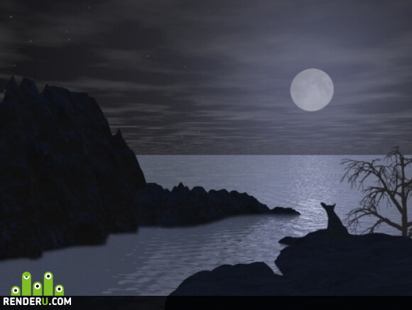 Night Dream