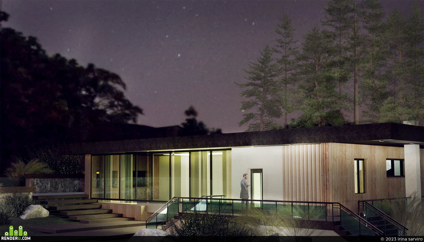 irina sarviro. individual house