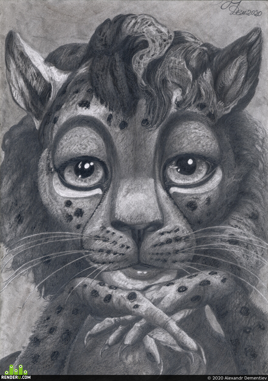 Aldem. Cheetah's glance