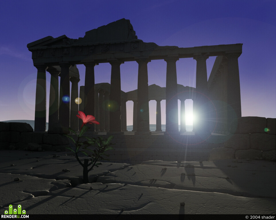 shader. Wild_flower