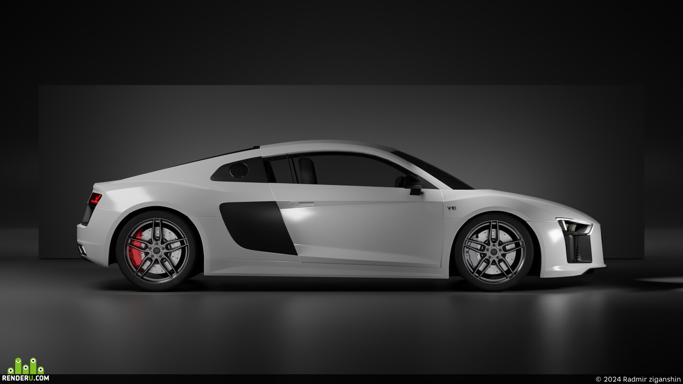 Radmir ziganshin. Audi R8 v10 plus