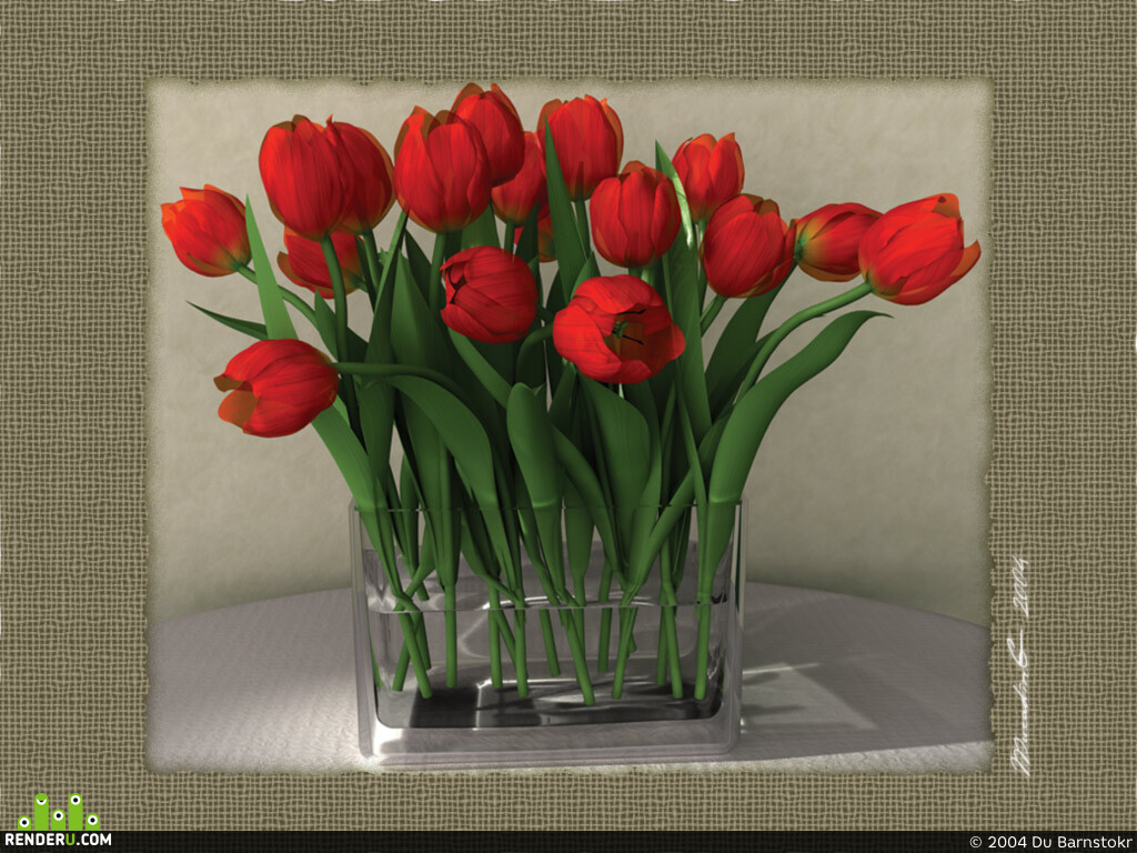 Du Barnstokr (Sleepwalker). Tulips