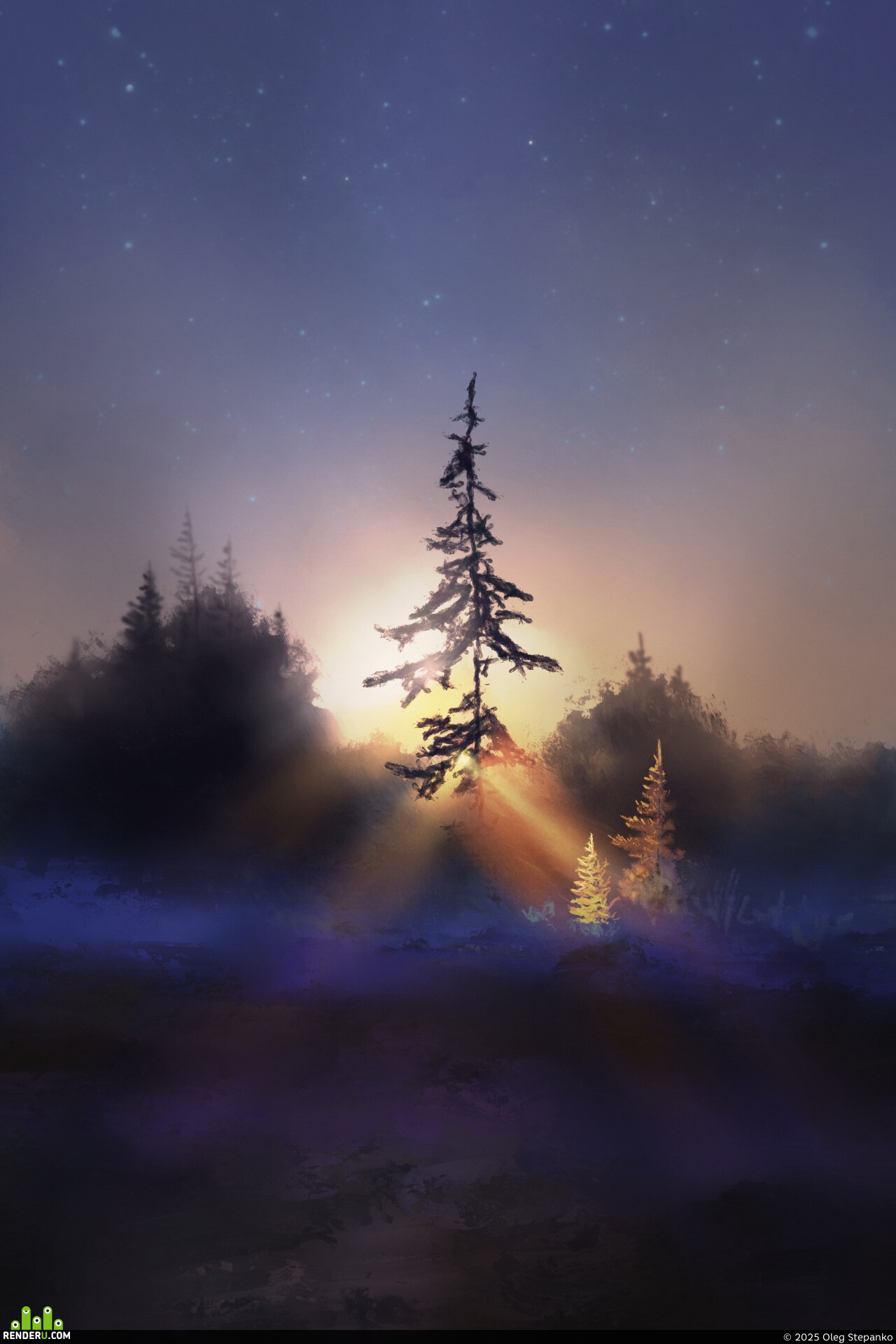 rwidon. Spruce
