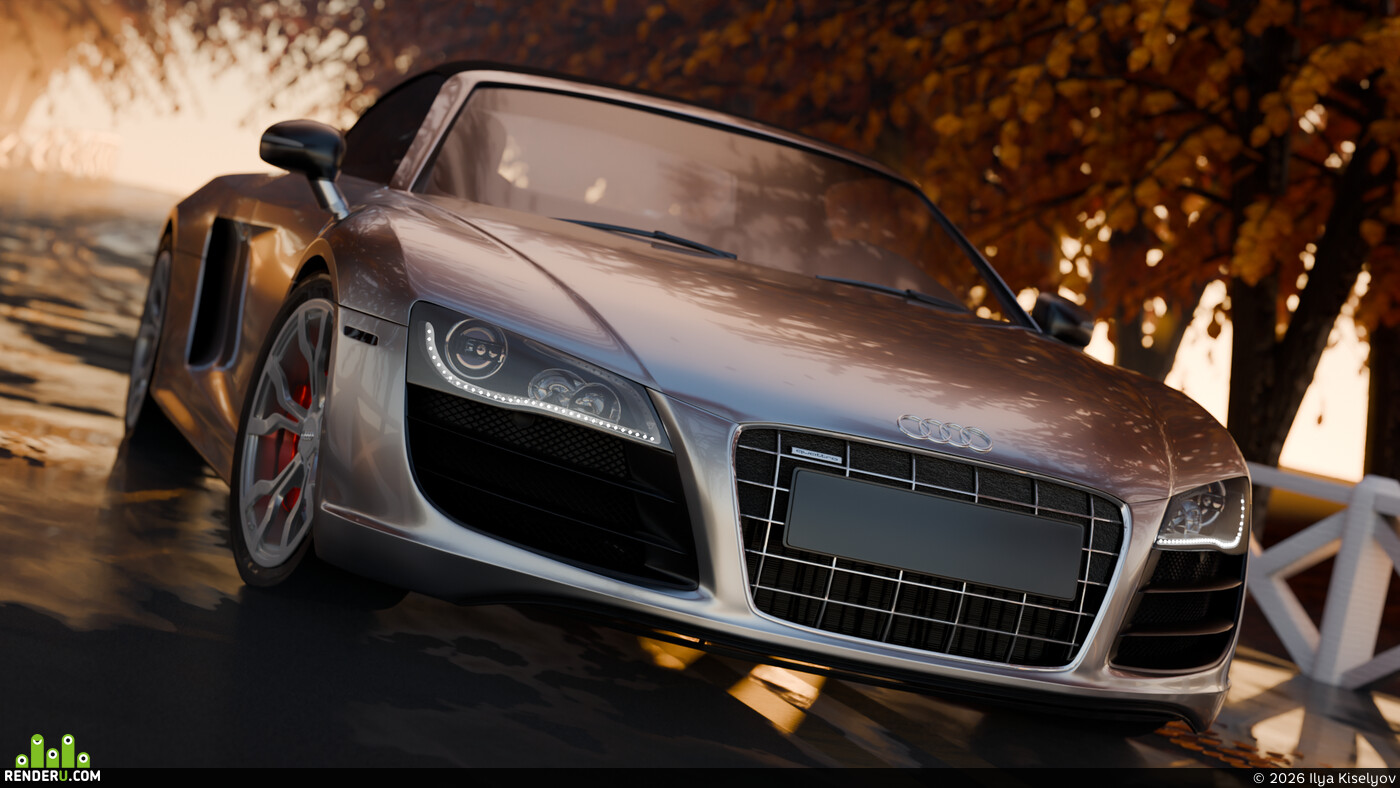 Ilya Kiselyov. AUDI R8