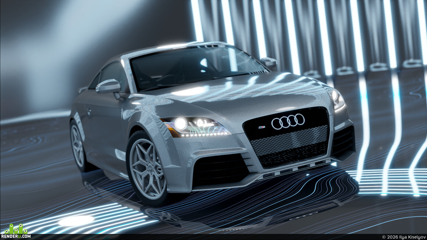 Ilya Kiselyov. Audi TTRS 2009