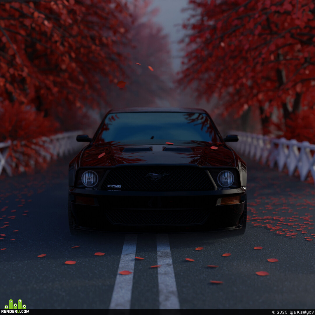 Ilya Kiselyov. Ford Mustang