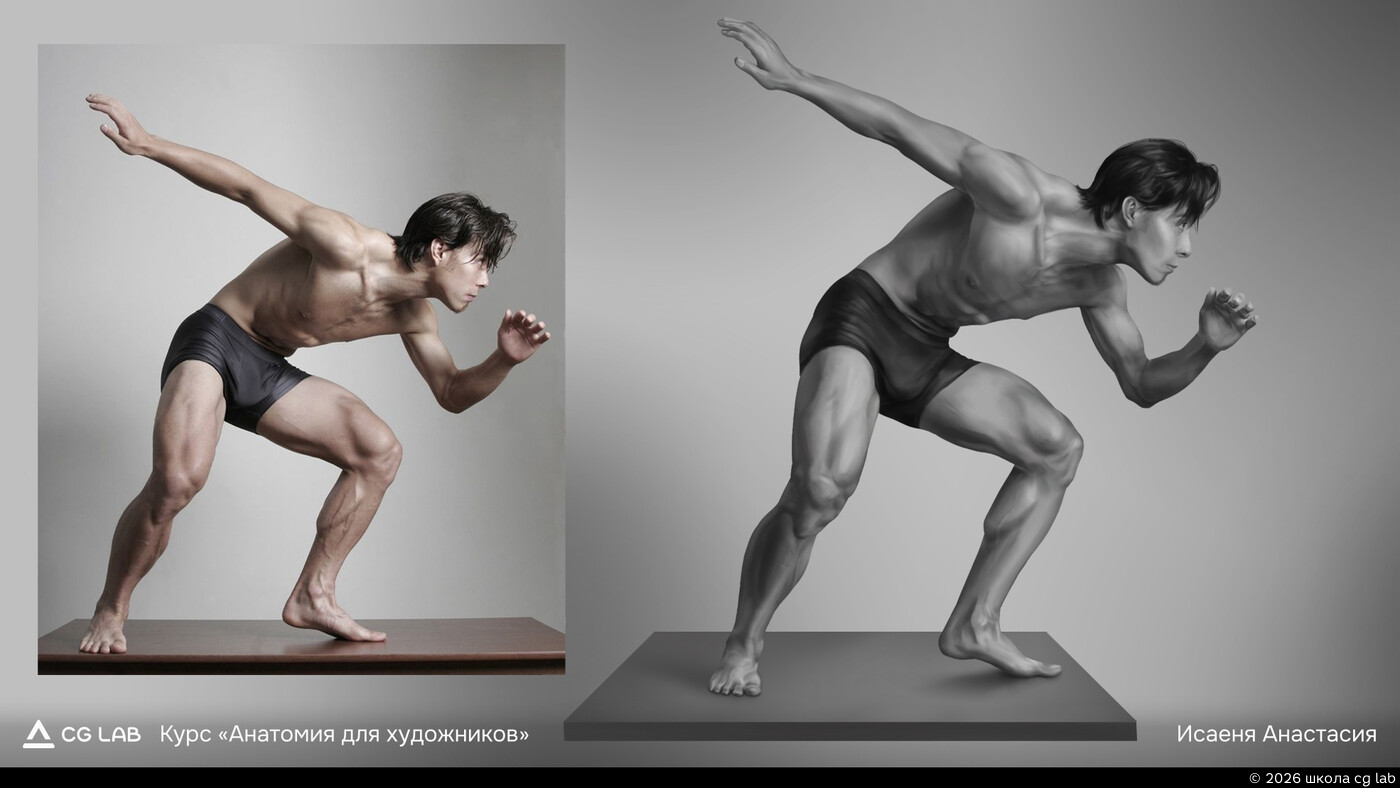 Школа CG LAB. Anastasia Isayenya / course "Anatomy for artists"