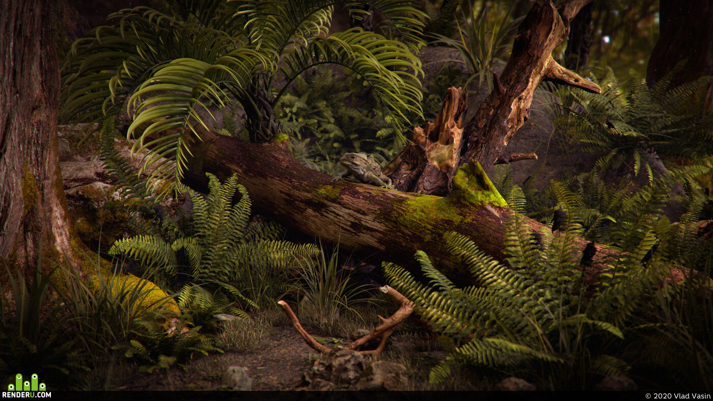 Vlad Vasin (El Barto). New Zealand Native Forest