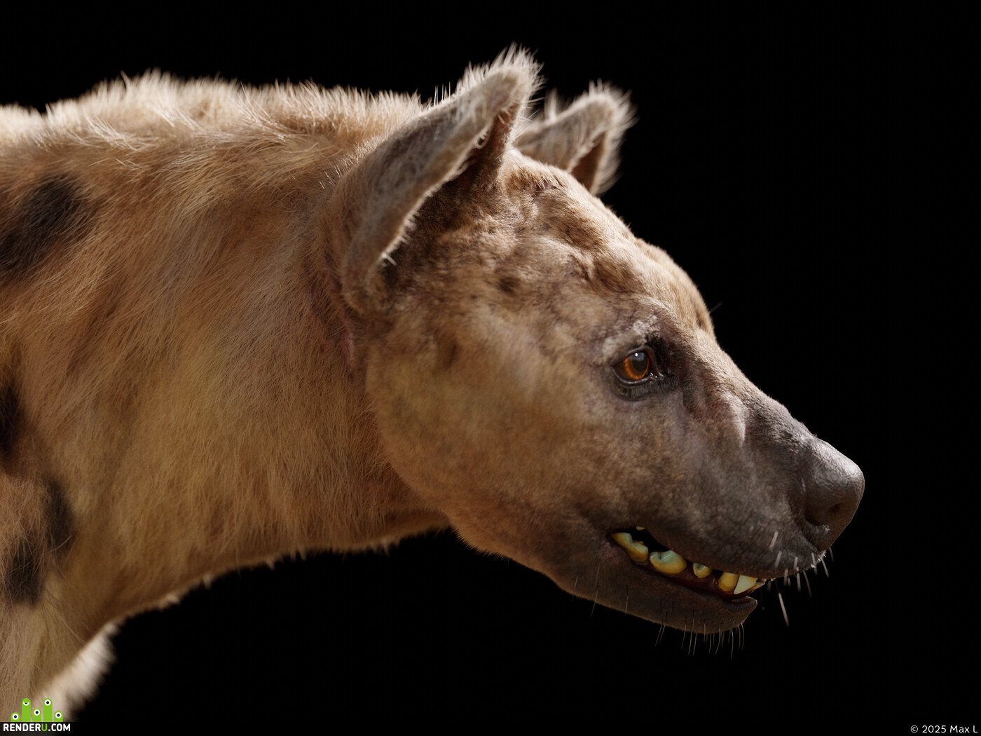 Max L. Hyena