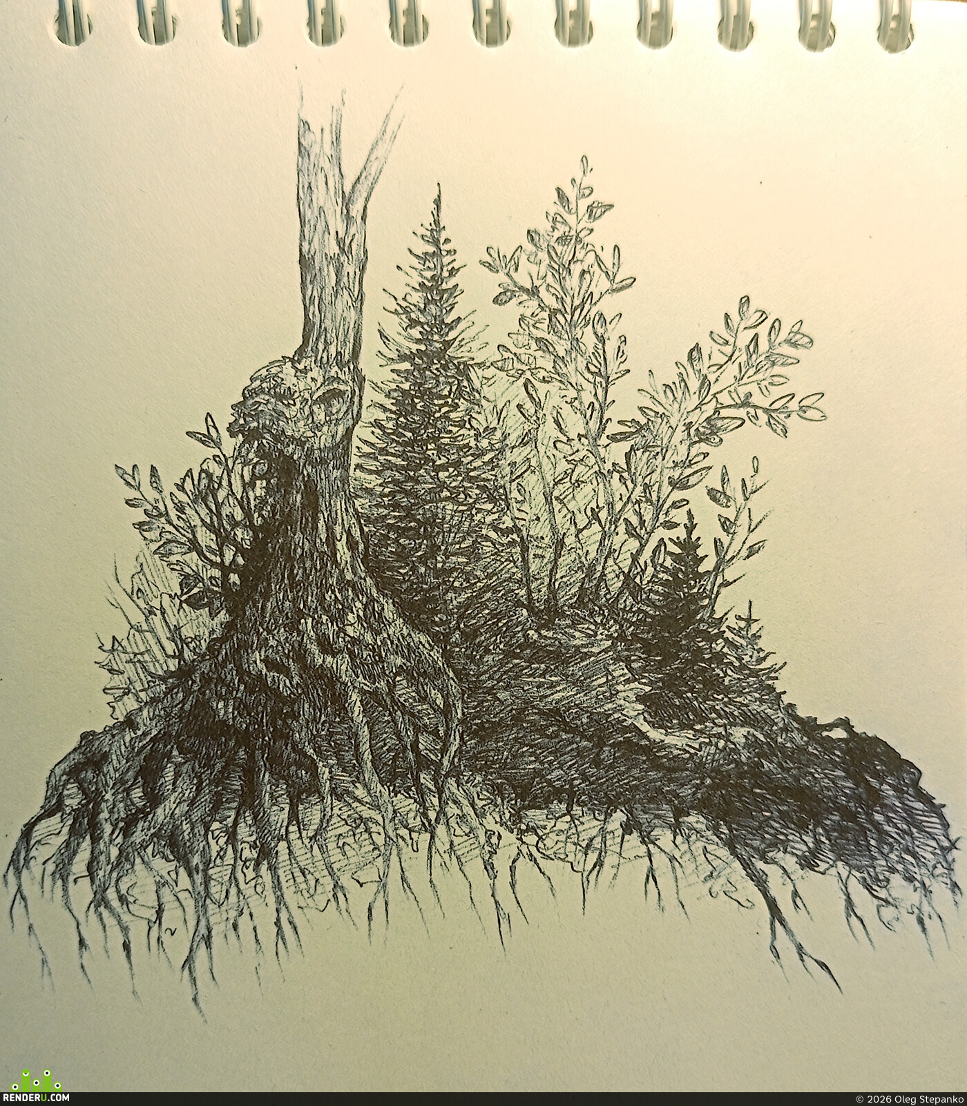 rwidon. Nature