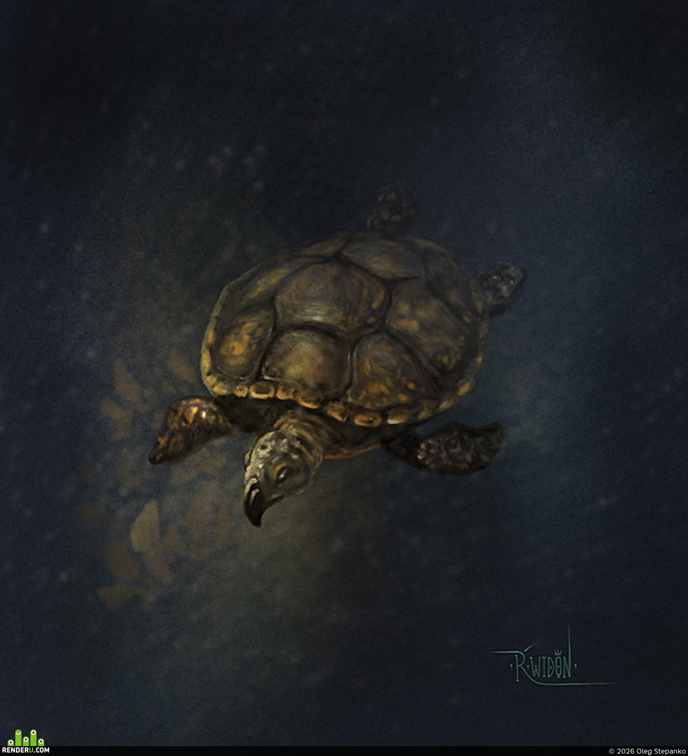 rwidon. Illustration