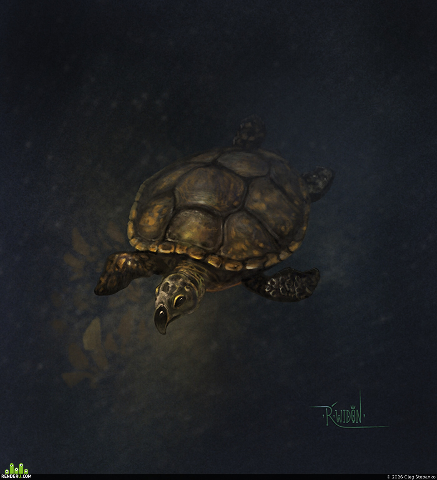 rwidon. Illustration