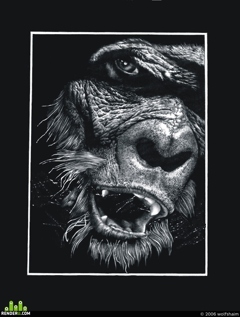 wolfshaim. Rayner