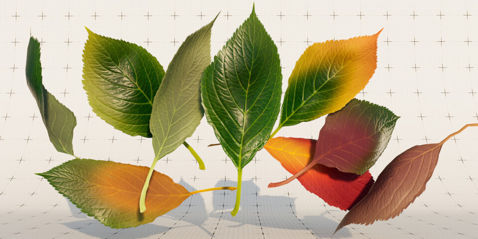 240501_Twinmotion20241_FoliageMaterials.jpg