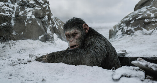 War for the Planet of the Apes: An interview with Weta Digital