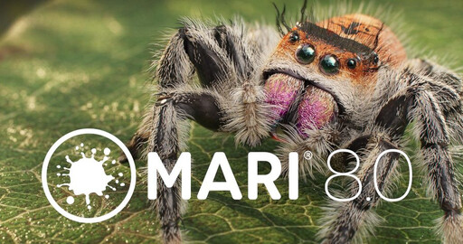 Mari 8.0 textures without UVs and hides tile repetition