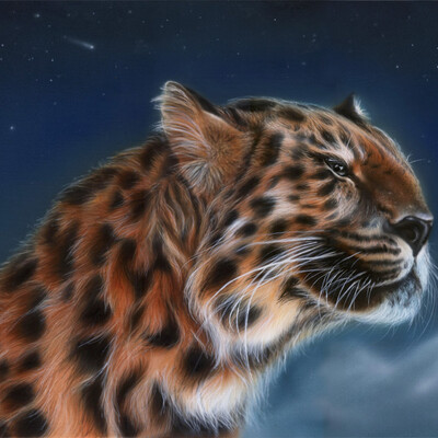 Leopard