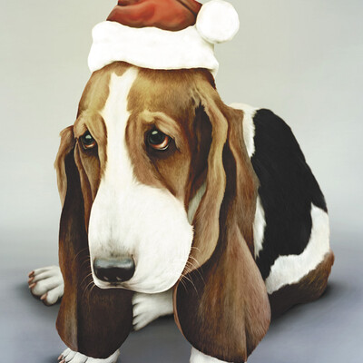 Basset