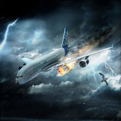 Birds vs Airplane