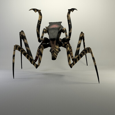 Warrior Bug