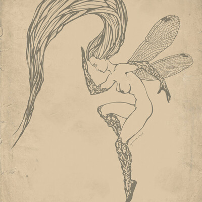 Fly