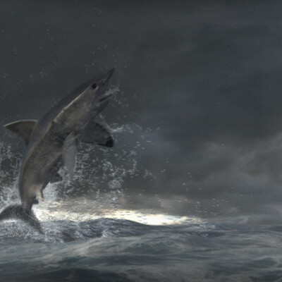 Shark
