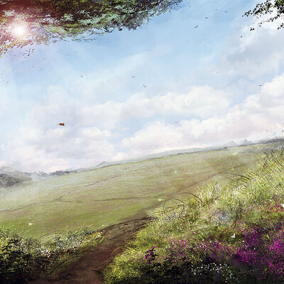 Fields